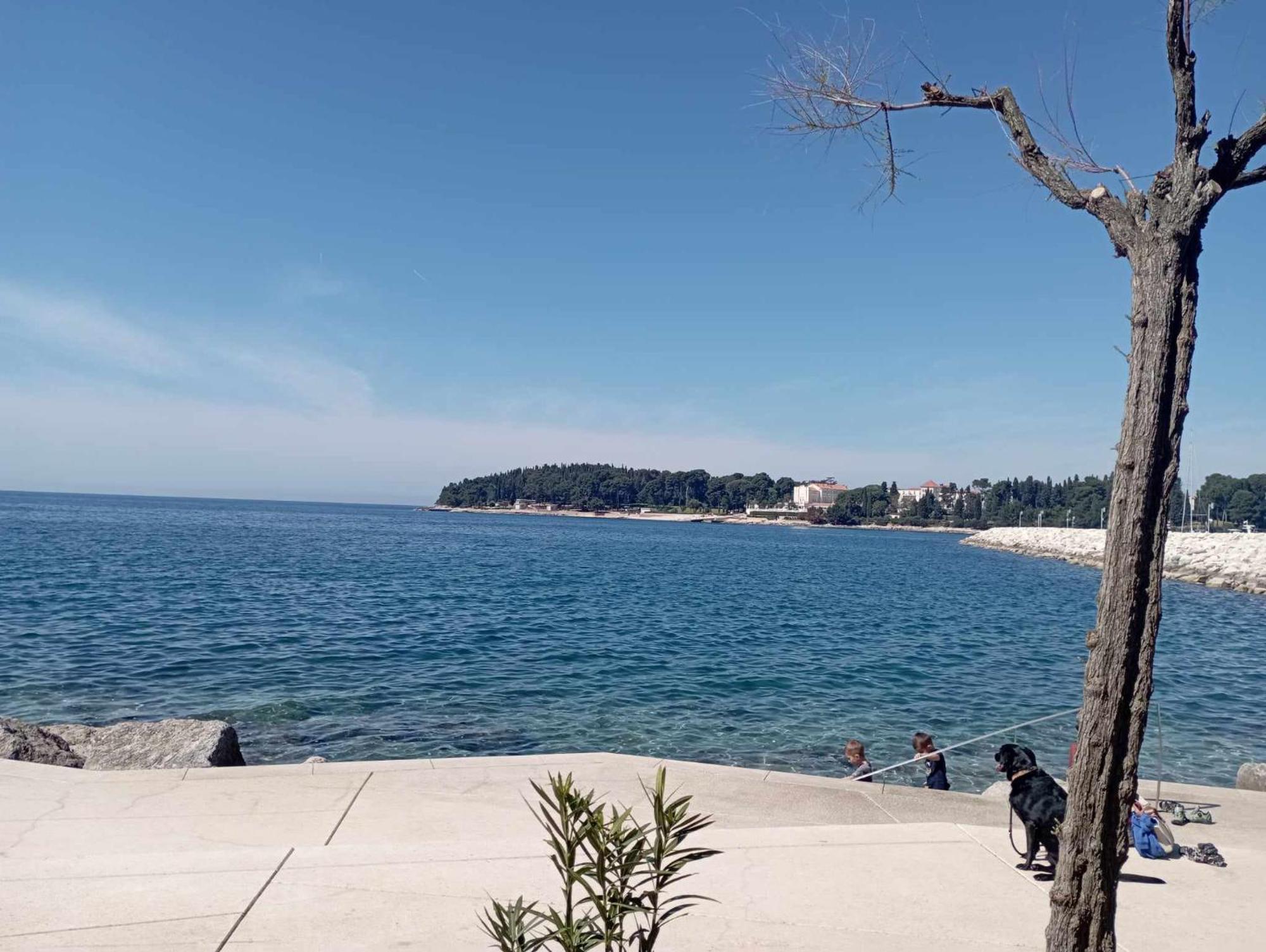 Apartman Angela Rovinj Eksteriør billede
